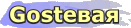   .: Gostевая ::.